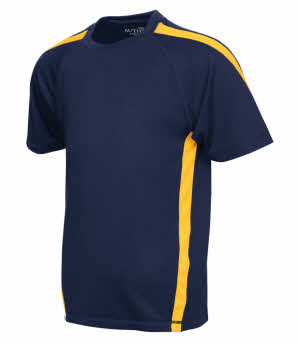 Navy Gold